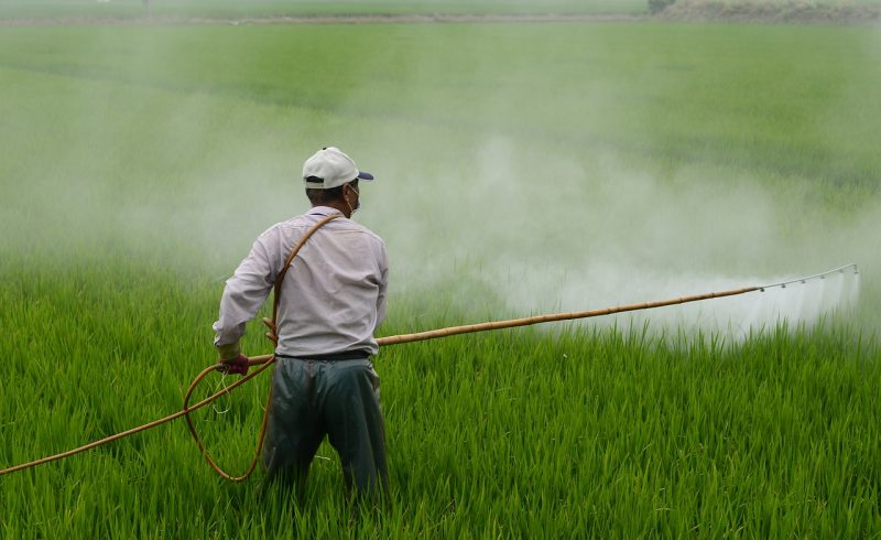 L'utilisation des pesticides a un impact néfaste sur la santé
